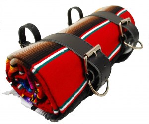 SERAPE RAINBOW2